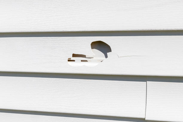 Best Property Management Cleanouts  in Forest, MS